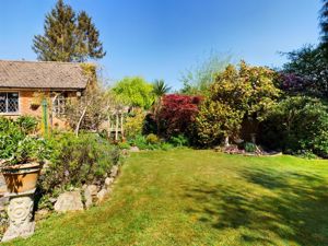 Garden - click for photo gallery